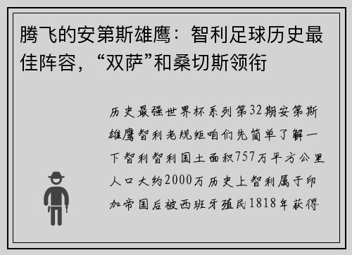 腾飞的安第斯雄鹰：智利足球历史最佳阵容，“双萨”和桑切斯领衔