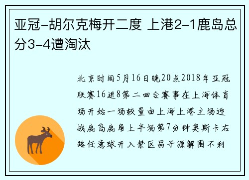 亚冠-胡尔克梅开二度 上港2-1鹿岛总分3-4遭淘汰